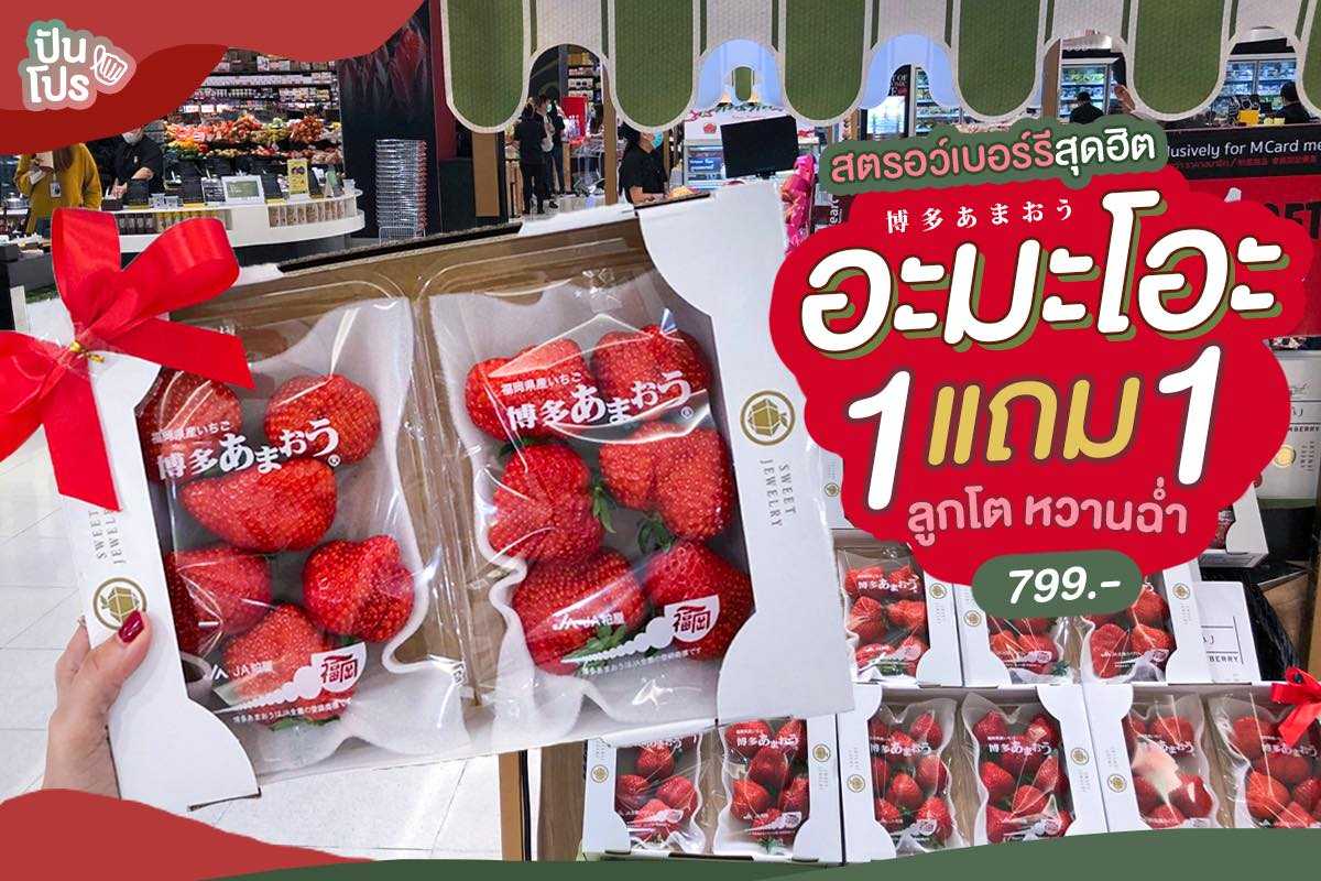 Amaoh สตรอว์เบอร์รีหวานฉ่ำไซซ์ใหญ่จากฟุกุโอกะ!! 🍓