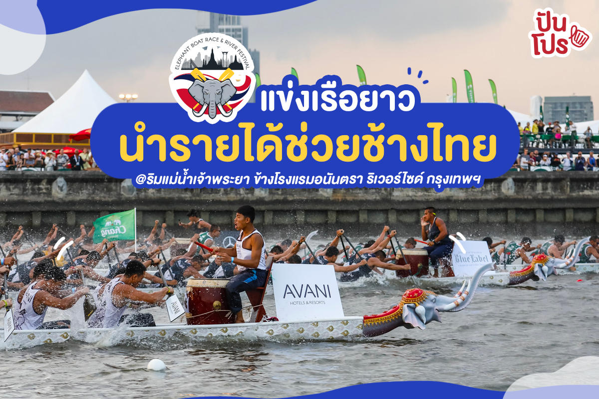 ห้ามพลาด! เทศกาลริมน้ำสุดฮิปใจกลางกรุงเทพ เพื่อช่วยเหลือช้างไทย
