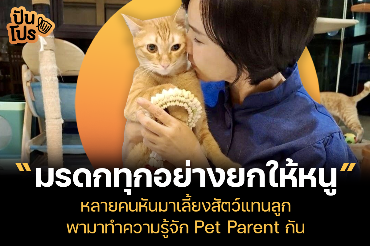เลี้ยงสัตว์แทนลูก เทรนด์มาแรงของคนไทยยุคใหม่ที่ไม่อยากมีลูกจริง ๆ