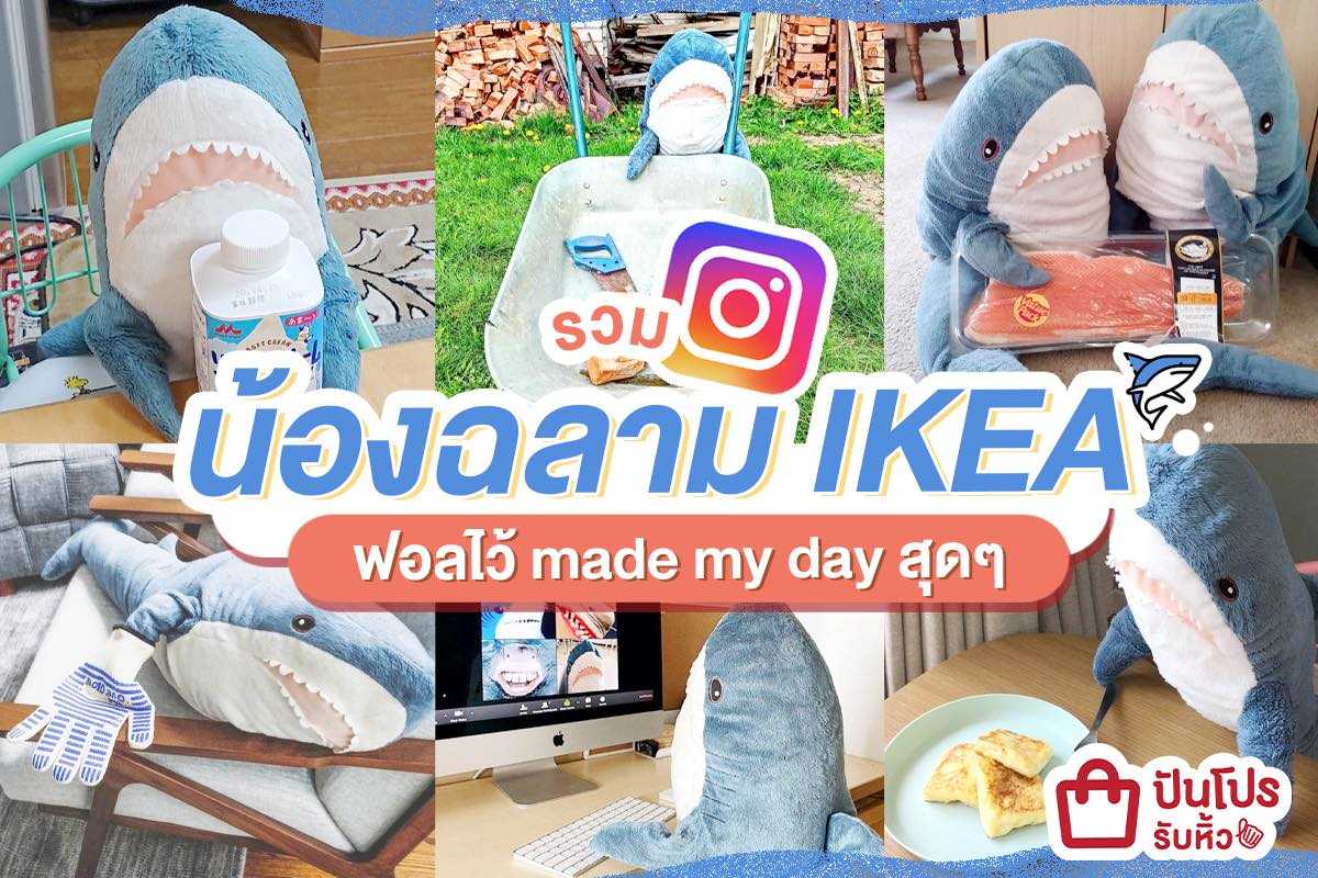 รวม 6 ไอจีน้องฉลาม IKEA แบ๊วเวอร์!! เพียง 599.- เท่านั้น