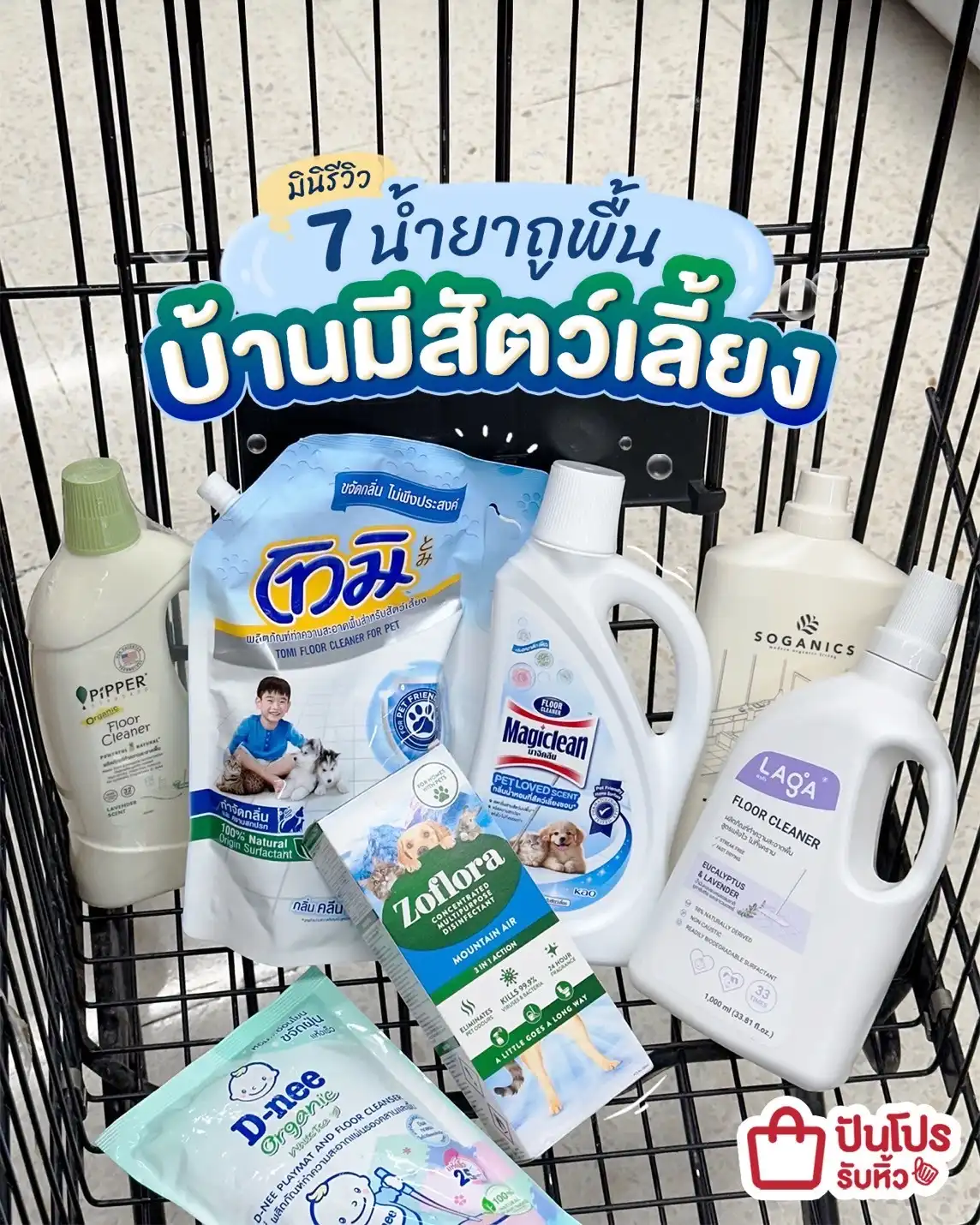 🐈 น้ำยาถูพื้นสำหรับสัตว์เลี้ยงในบ้าน
