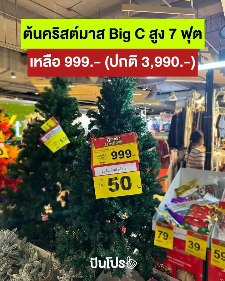 🎄 ต้นคริสต์มาส 7 ฟุต ราคาดีมาก 999.-  (ปกติ 3,990.-)