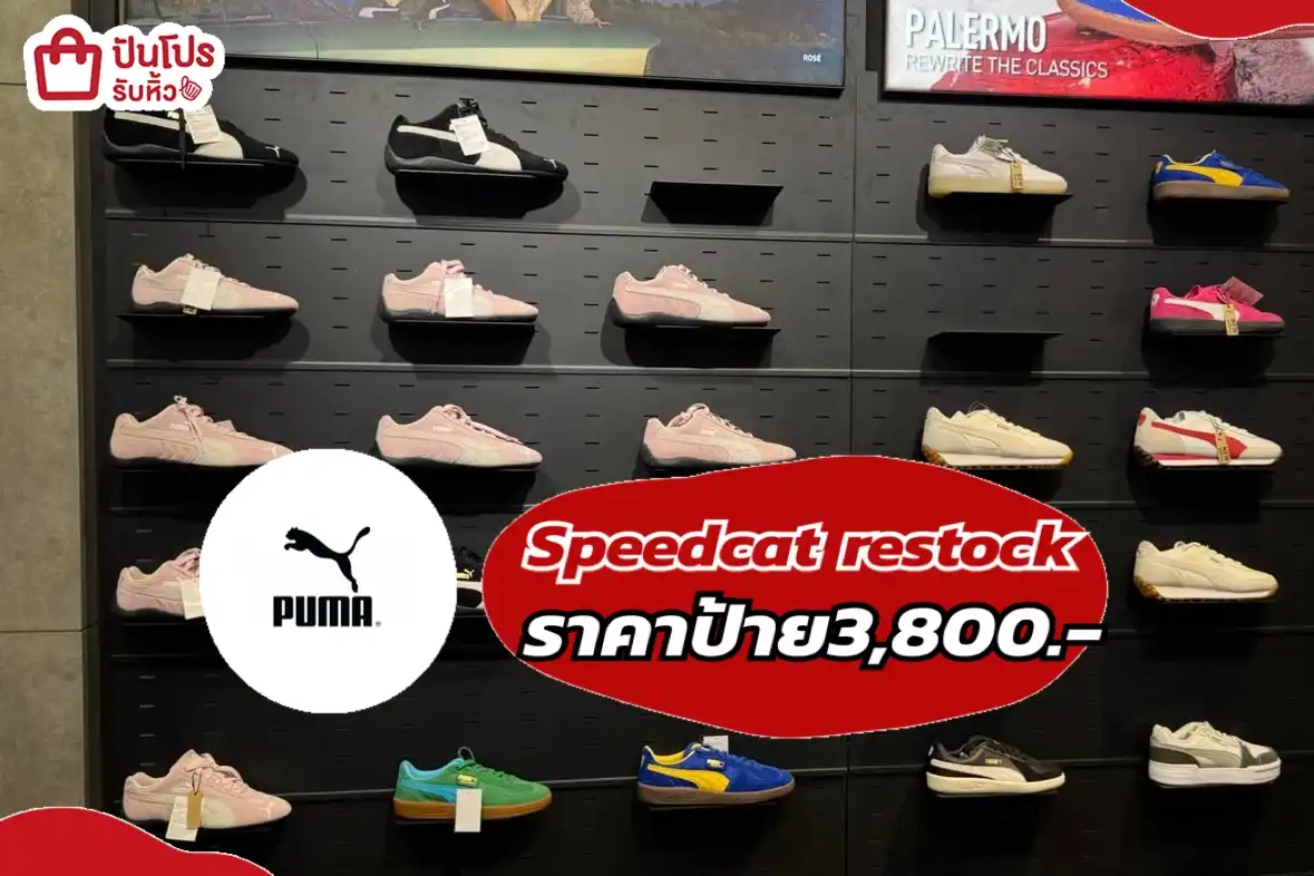 puma Speedcat restock