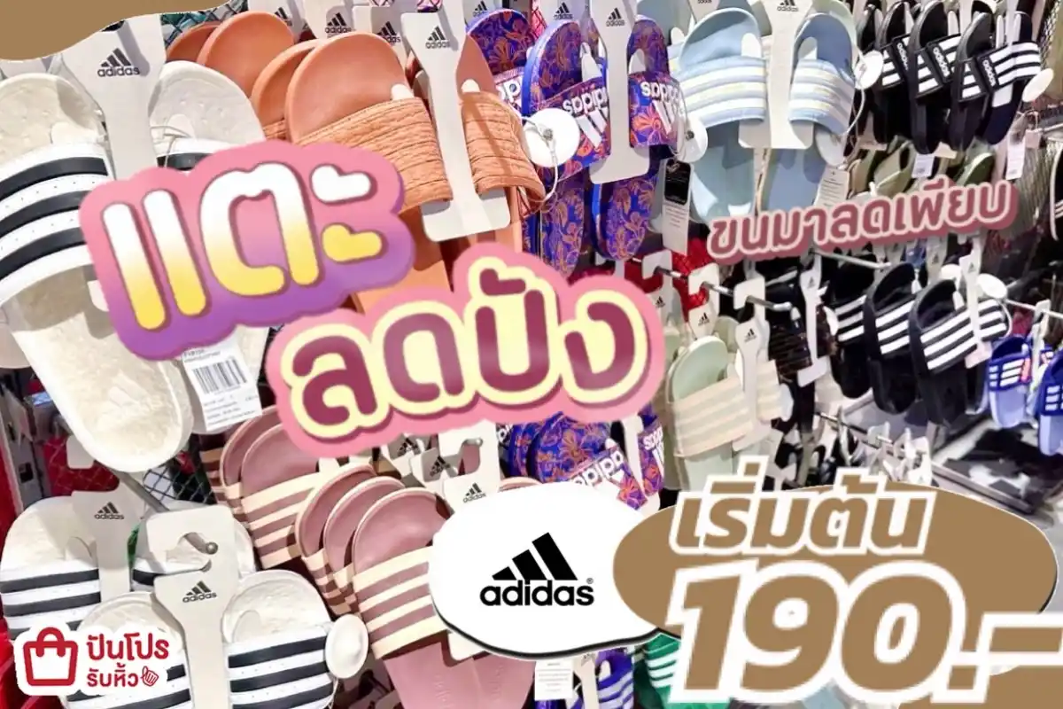 รวมทุกแบรนด์ รองเท้าแตะลดปัง