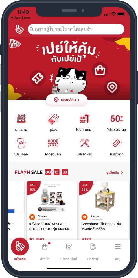 punpro application