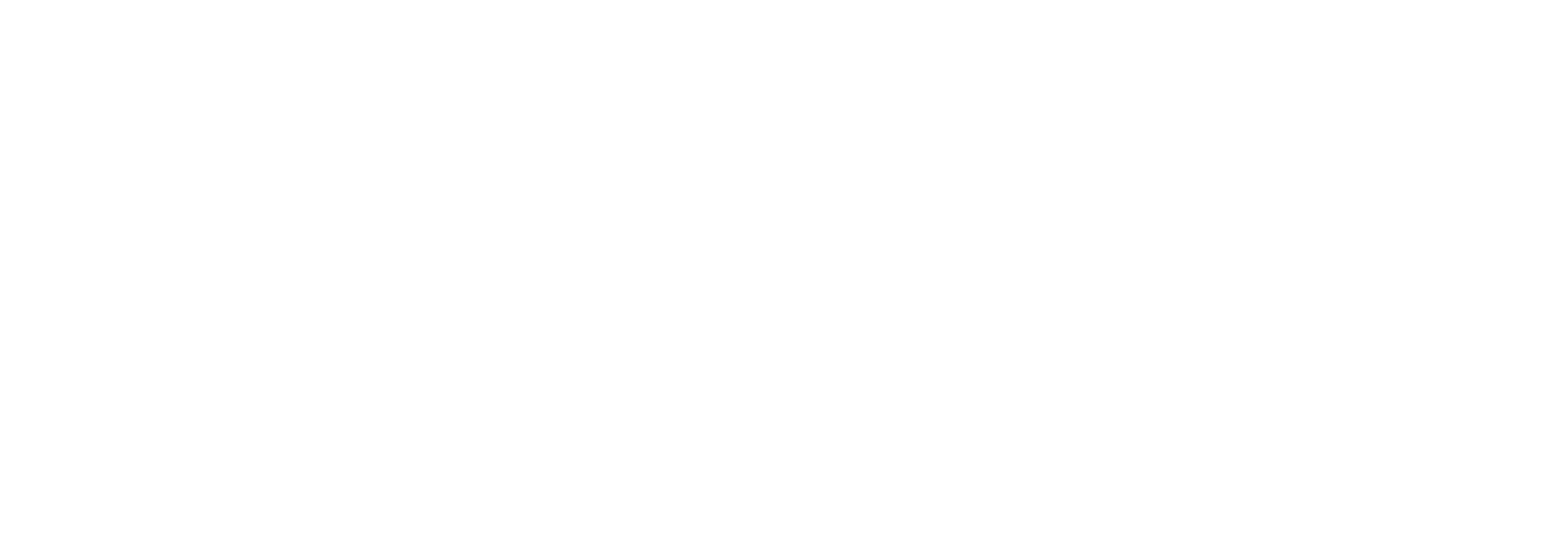 punpro application