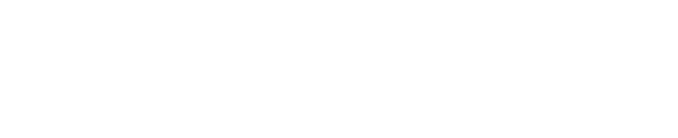 punpro application